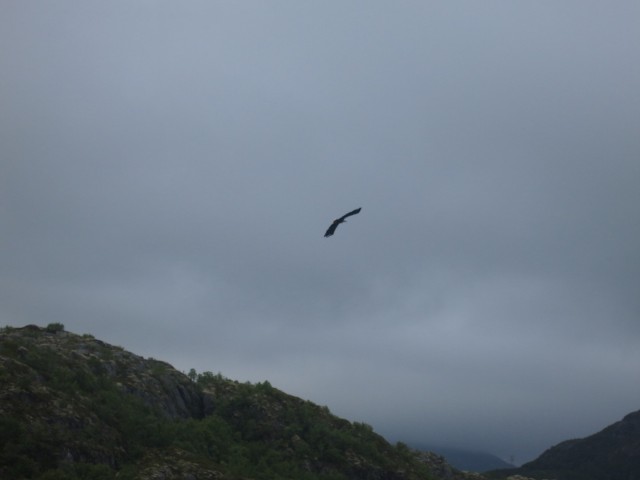 Hurtigruten_2015-06-25_17-53-1